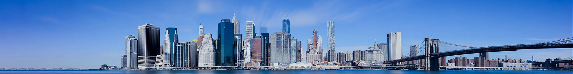 About Us Committed to Become a Leading Financial Advisory and Investment Firm